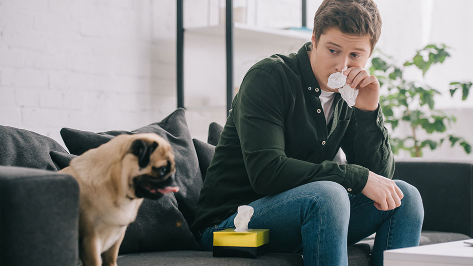 Purchasing an air purifier is one of the wisest methods to boost your residence’s indoor air quality. Discover more about the three smartest options. 